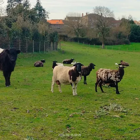Pensjonat Au Pre Du Puy