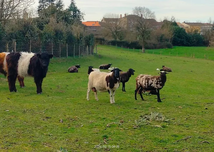 Maison d'hôtes Au Pre Du Puy